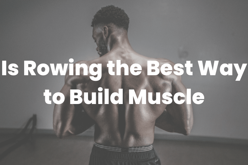 is rowing the best way to build muscle