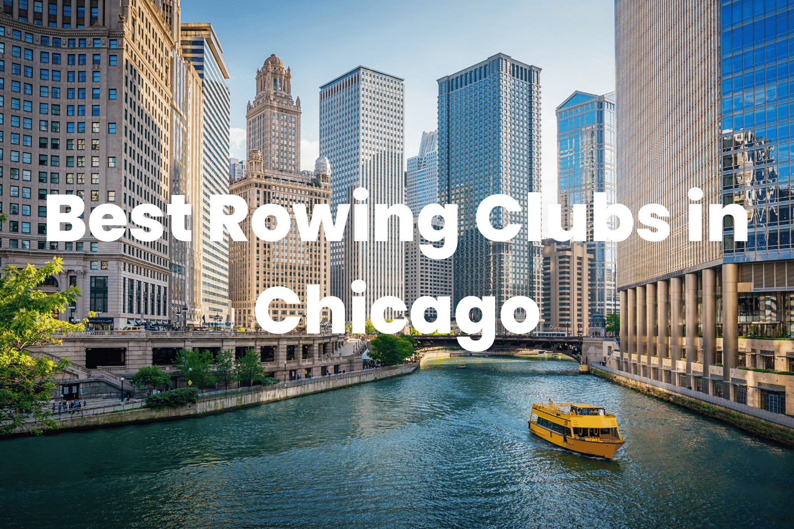 Best Rowing Clubs in Chicago