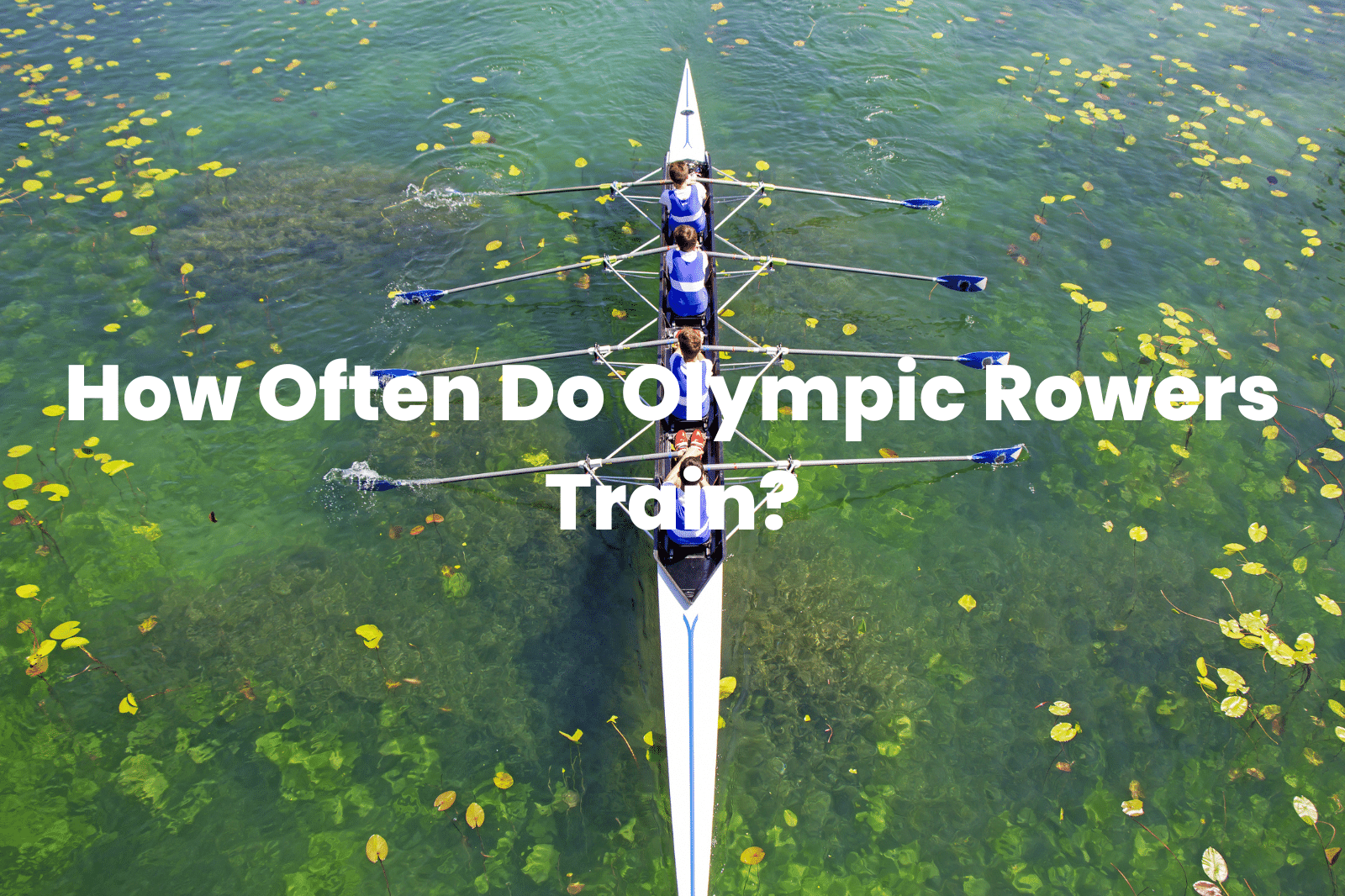 Olympic rowers train