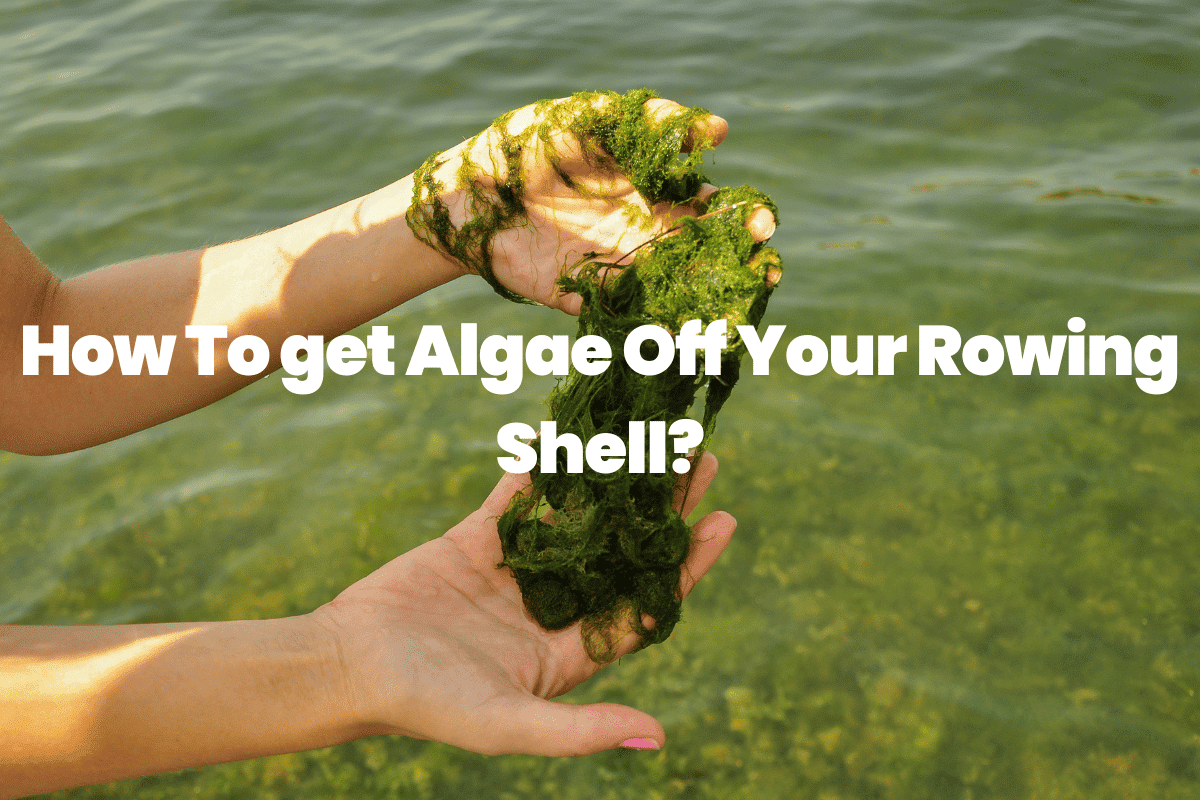 How To get Algae Off Your Rowing Shell?