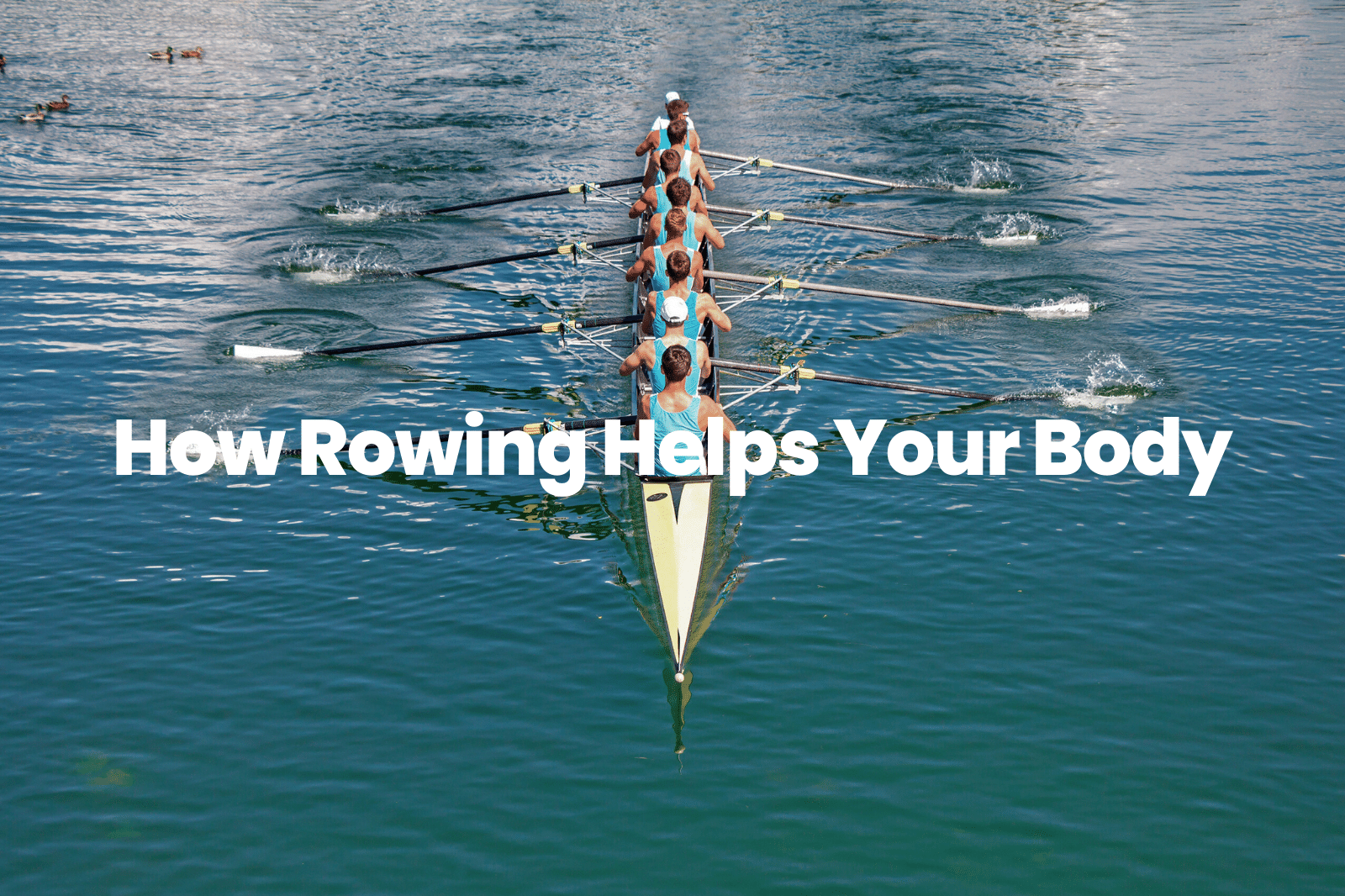 Rowing helps