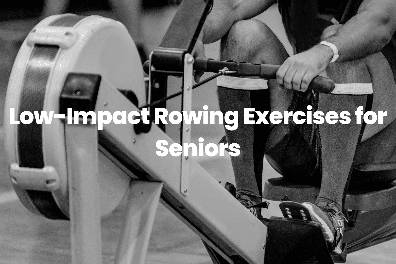 rowing exercises