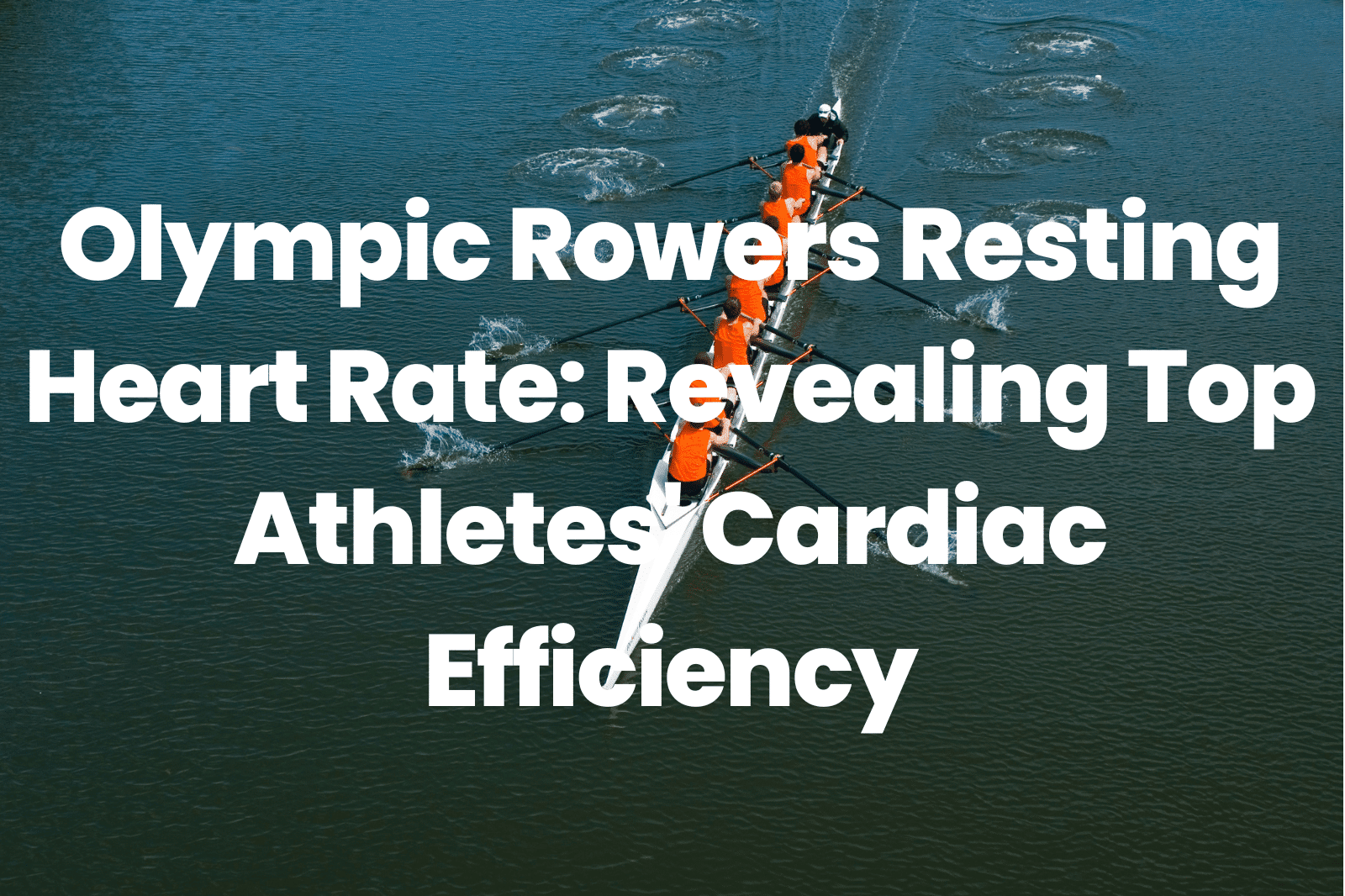 Olympic Rowers Resting Heart Rate